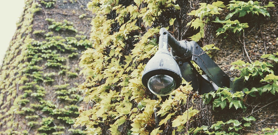 Environmental monitoring and testing