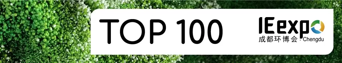 Top 100 Companies